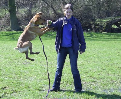 Look at high how I can jump!!