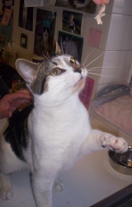 Aw, please give it to me...