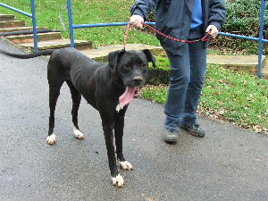 No one has a figure like mine!