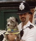 Henry the police terrier