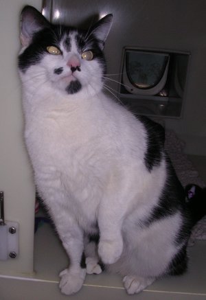 I love to be stroked.....