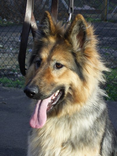 See that glint in my eye? Its called Mischief!!!