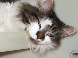 Is it safe to come down yet?