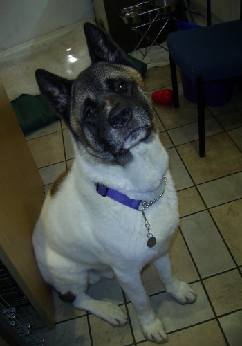 Seriously, I'm not cracking a smile whilst the camera is on me.