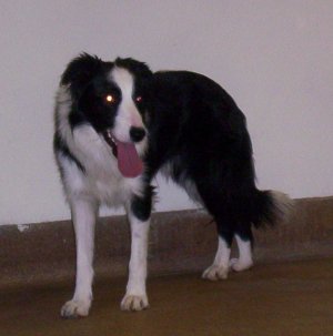 please help me found my soul!