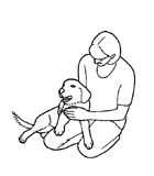 basic training from Paws - credit Annabel Milne (see credits page)