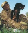 anti-poaching dog