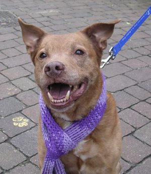 Does this colour suit me?