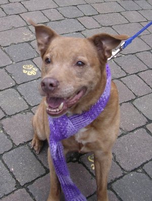 Does this colour suit me?