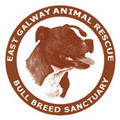East Galway Animal Rescue