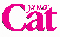 Your Cat Magazine