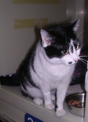 ...and I'm nosey too.