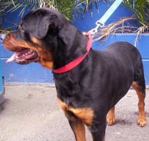 There must be someone for me somewhere round here