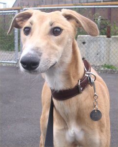 Full of fun and mischief