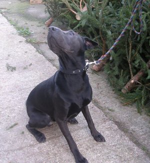 He will look up to you