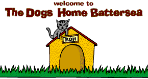 Enter the Dogs Home...