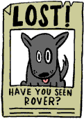 lost dog